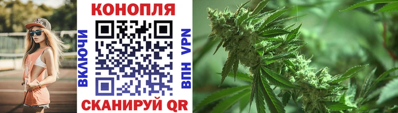 Магазин наркотиков Новая Ладога КОКАИН  Alpha PVP  Канабис  ГАШИШ 
