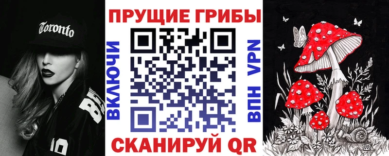 гидра как войти  Новая Ладога  Псилоцибиновые грибы Psilocybine cubensis  цена наркотик 