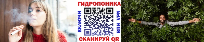 Шишки марихуана марихуана Новая Ладога