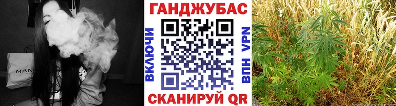 кракен зеркало  где найти   Новая Ладога  Марихуана индика 